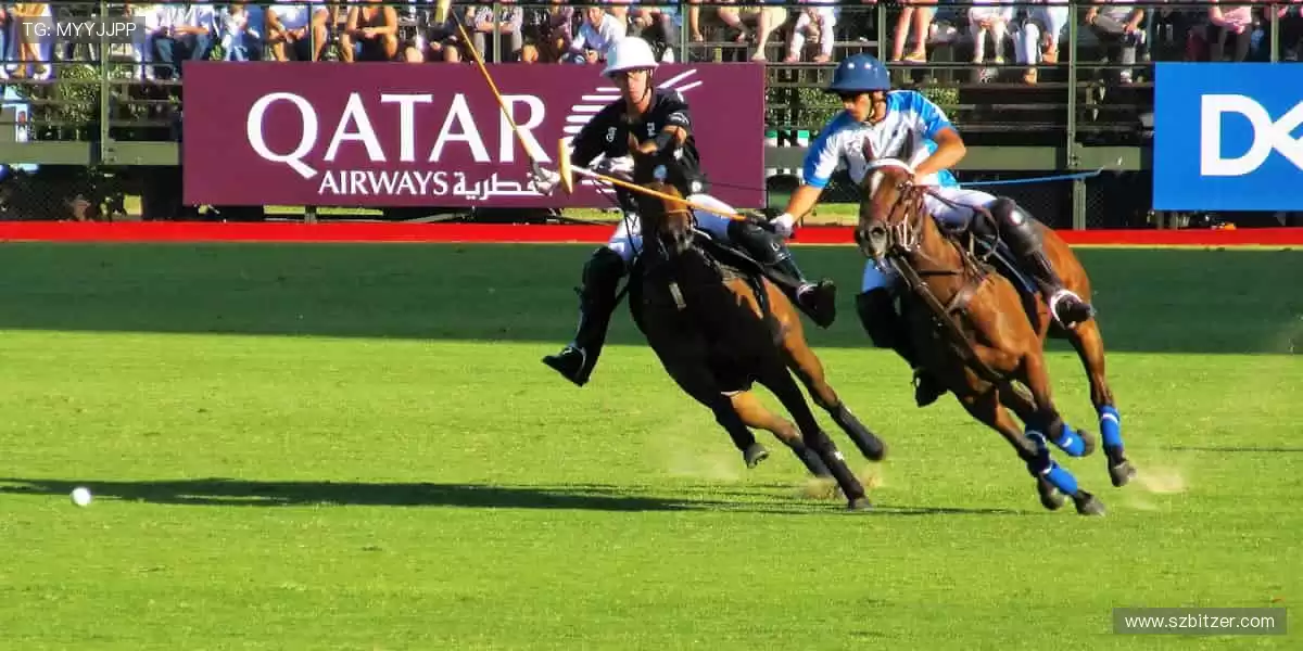 👕潮流装备，个性十足！🎁送礼首选，传递体育精神！